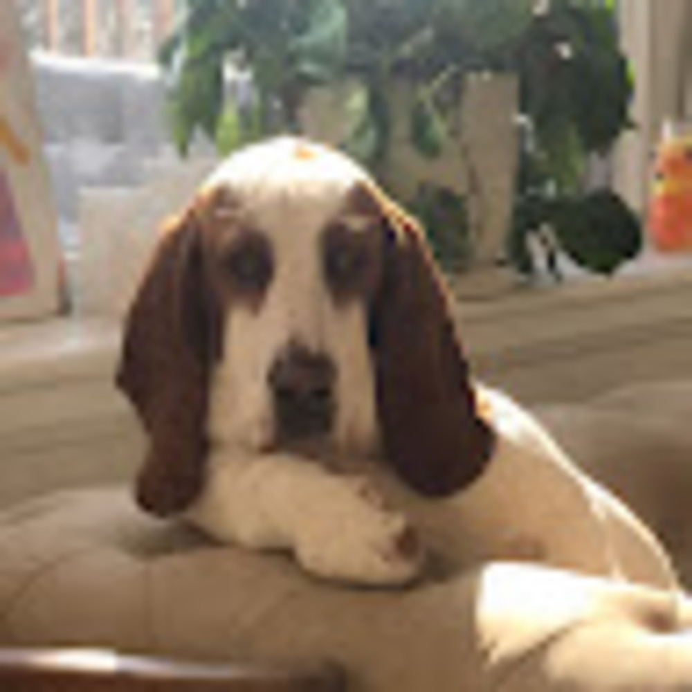 Meet your Posher, Krista